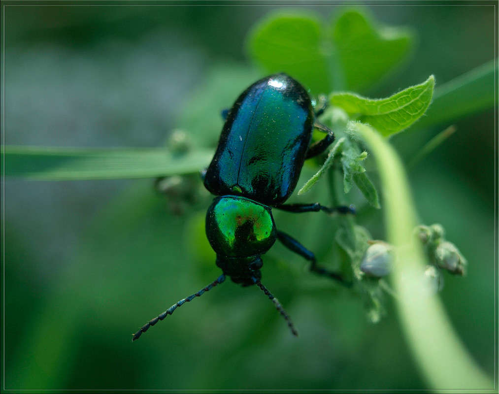 ��� ������ ��� ������ ����� ������  �� PhotoGeek.ru #�����