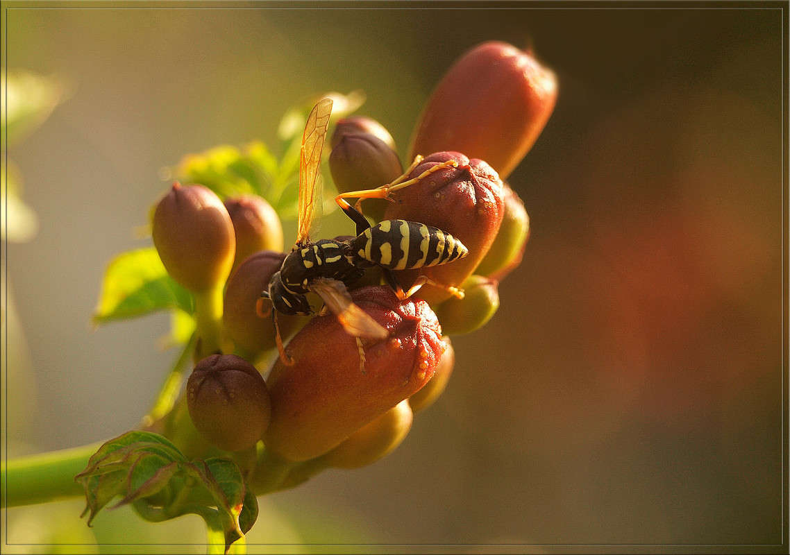 �������� ������ ����� ������  �� PhotoGeek.ru #������ ��� �������