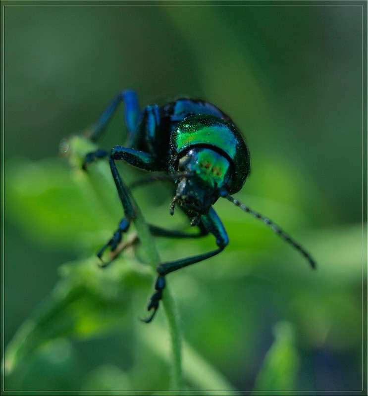 ����������� ����� ������  �� PhotoGeek.ru #�����
