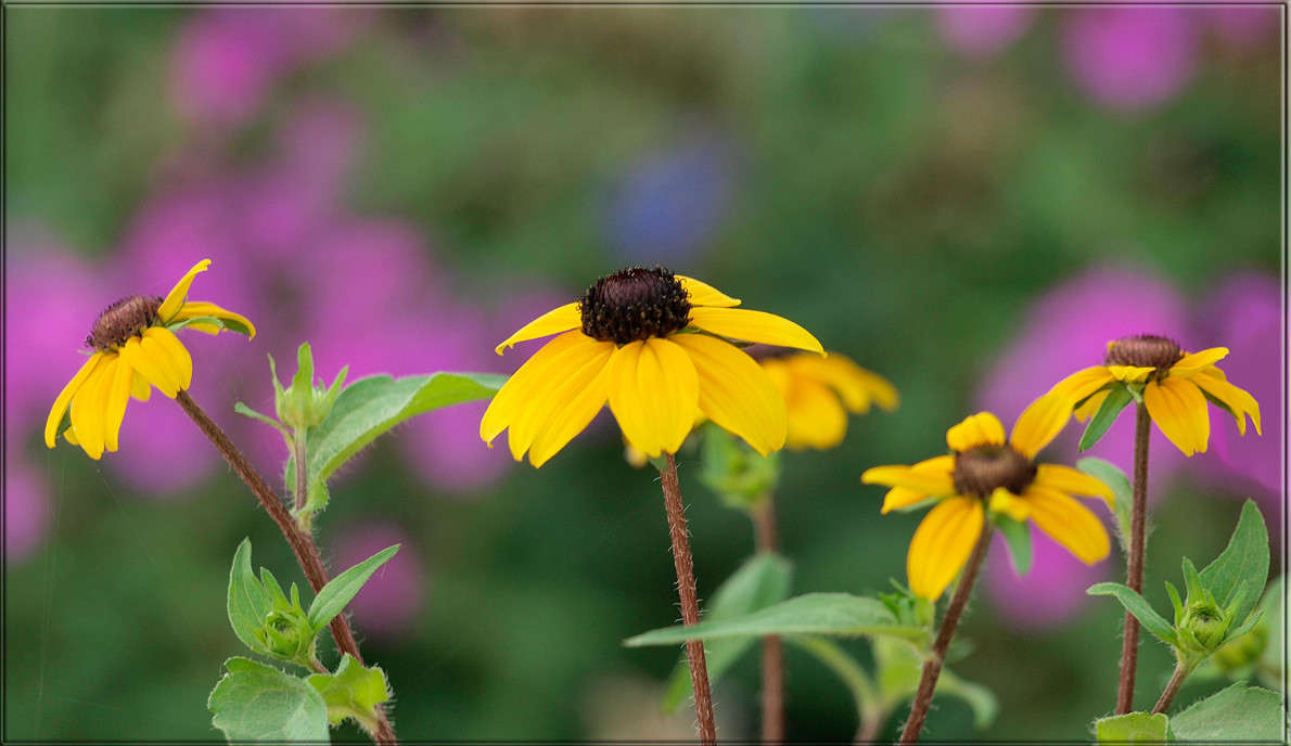 ����� �������� ����� ������  �� PhotoGeek.ru #������ ��� �������