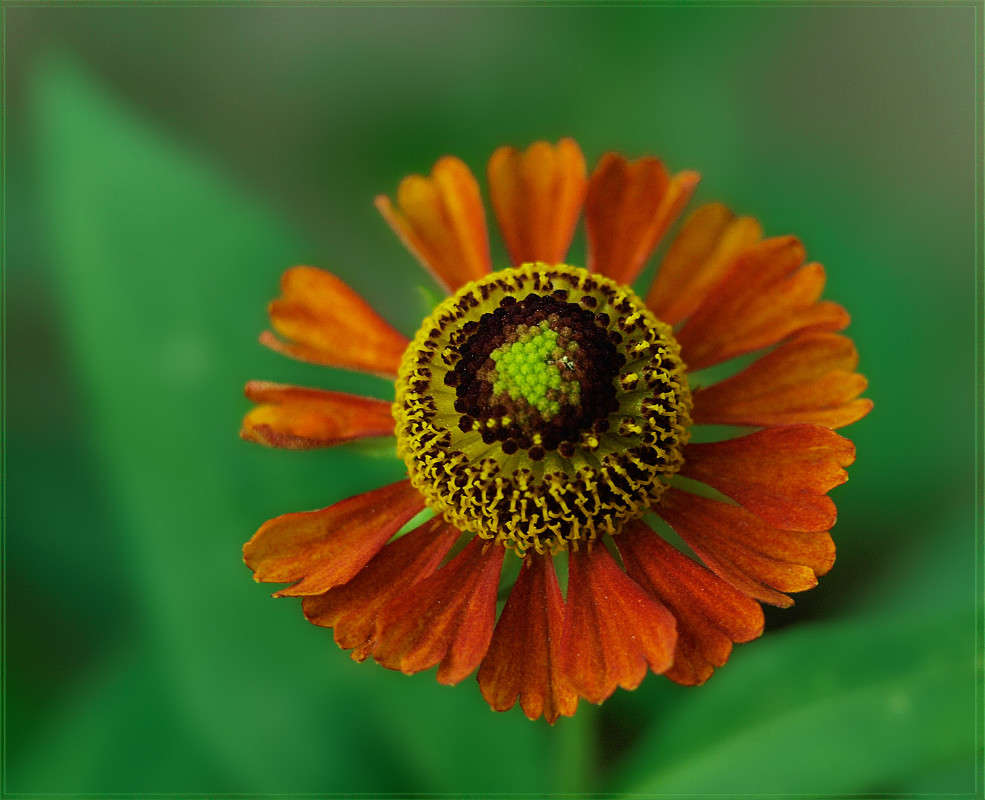����� ����� ����� ������  �� PhotoGeek.ru #������ ��� �������