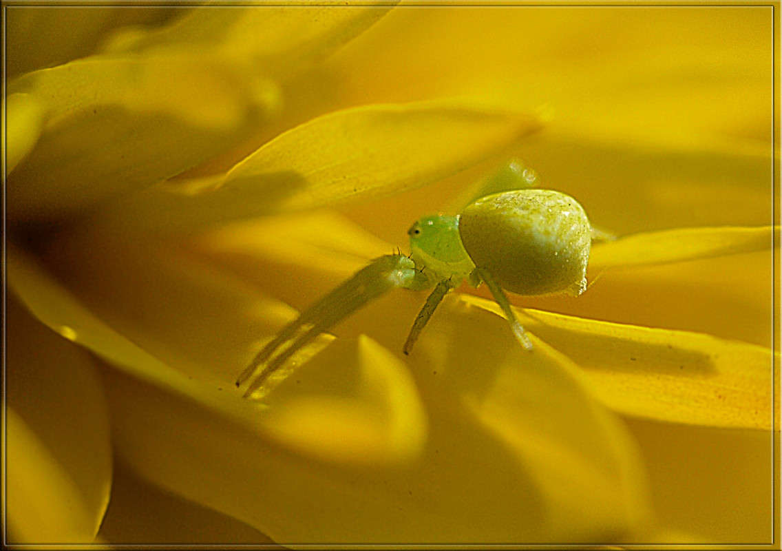 ����������� ����� ������  �� PhotoGeek.ru #�����