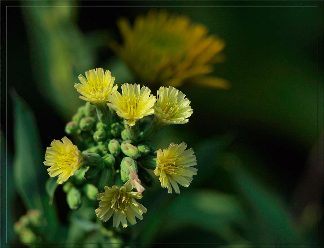 ����� ������� � ����� � ������ ����� ������  �� PhotoGeek.ru #������ ��� �������