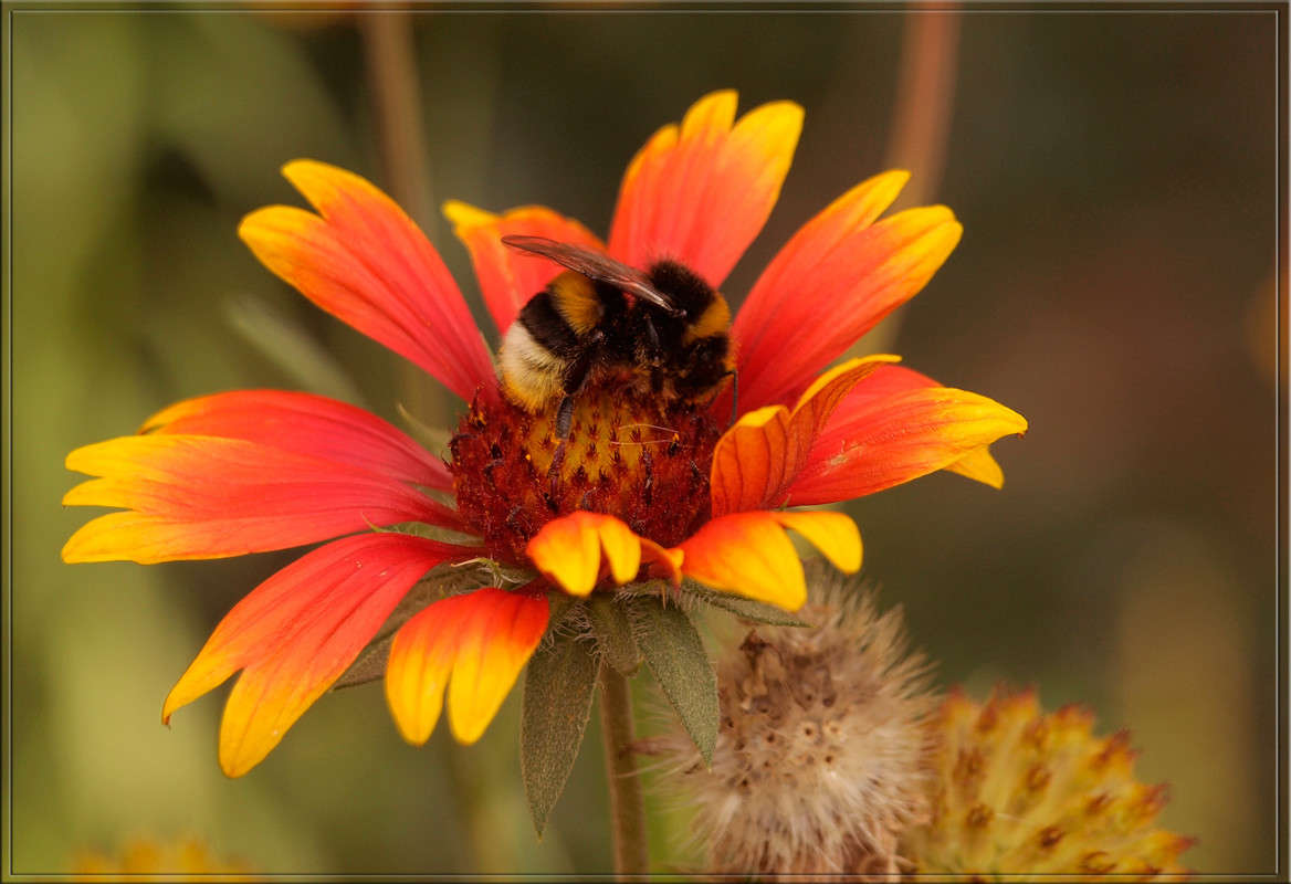 ���� �������� ����� ������  �� PhotoGeek.ru #������ ��� �������