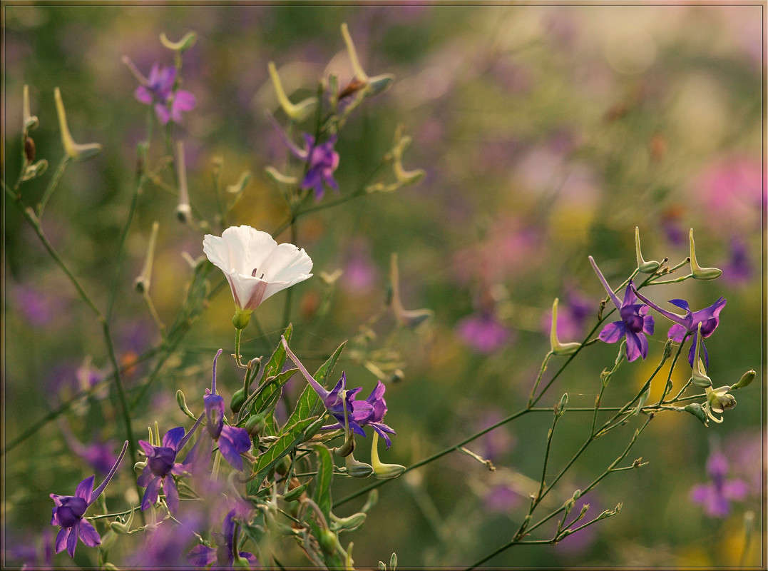 ������ ����� ������  �� PhotoGeek.ru #������ ��� �������