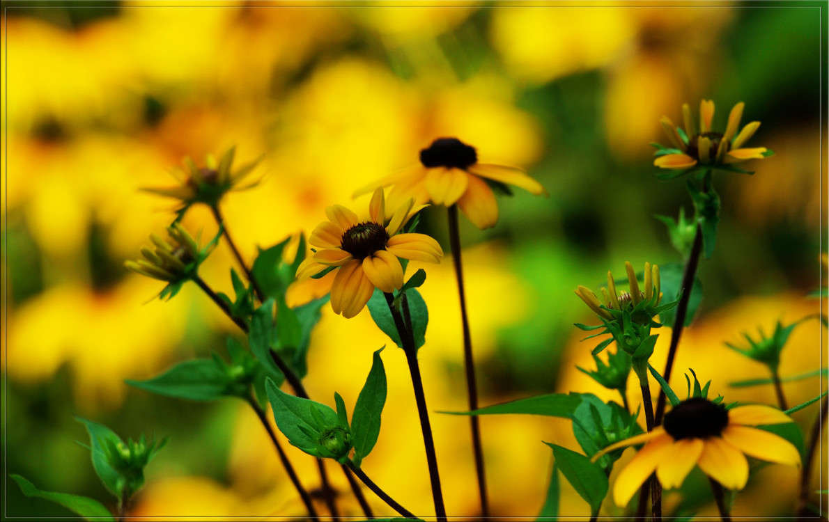 ������ �� ������� ����� ������  �� PhotoGeek.ru #������ ��� �������