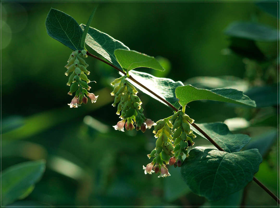������ ������������� ����� ������  �� PhotoGeek.ru #������ ��� �������