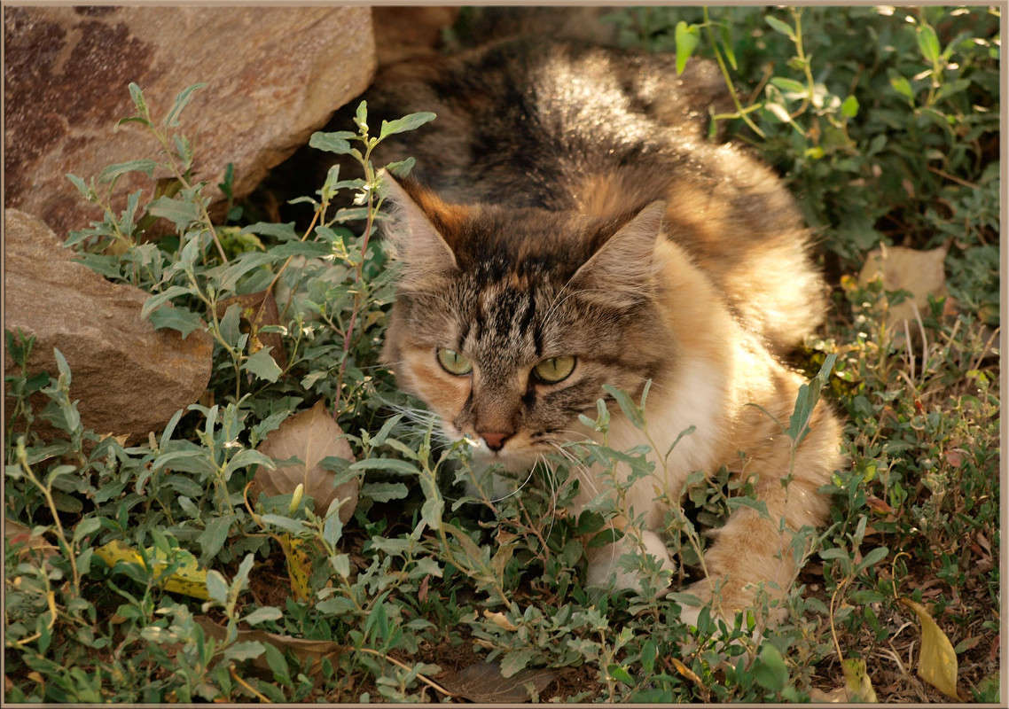 ����� �� ������� ����� ������  �� PhotoGeek.ru #�������� ���