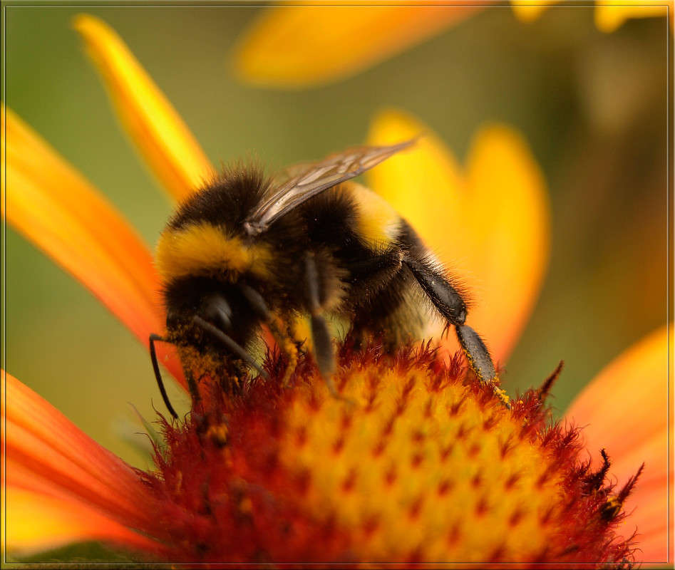 ������������ ����� ������  �� PhotoGeek.ru #�����
