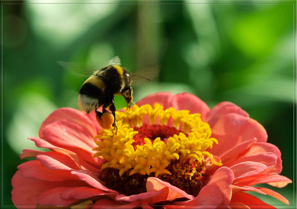�� ������� ����� ������  �� PhotoGeek.ru #�����
