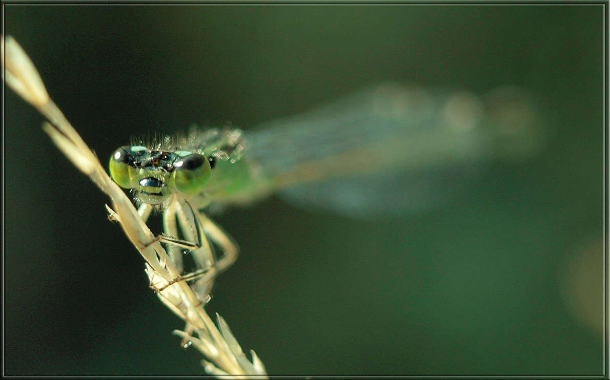 ��������� ����� ������  �� PhotoGeek.ru #�����