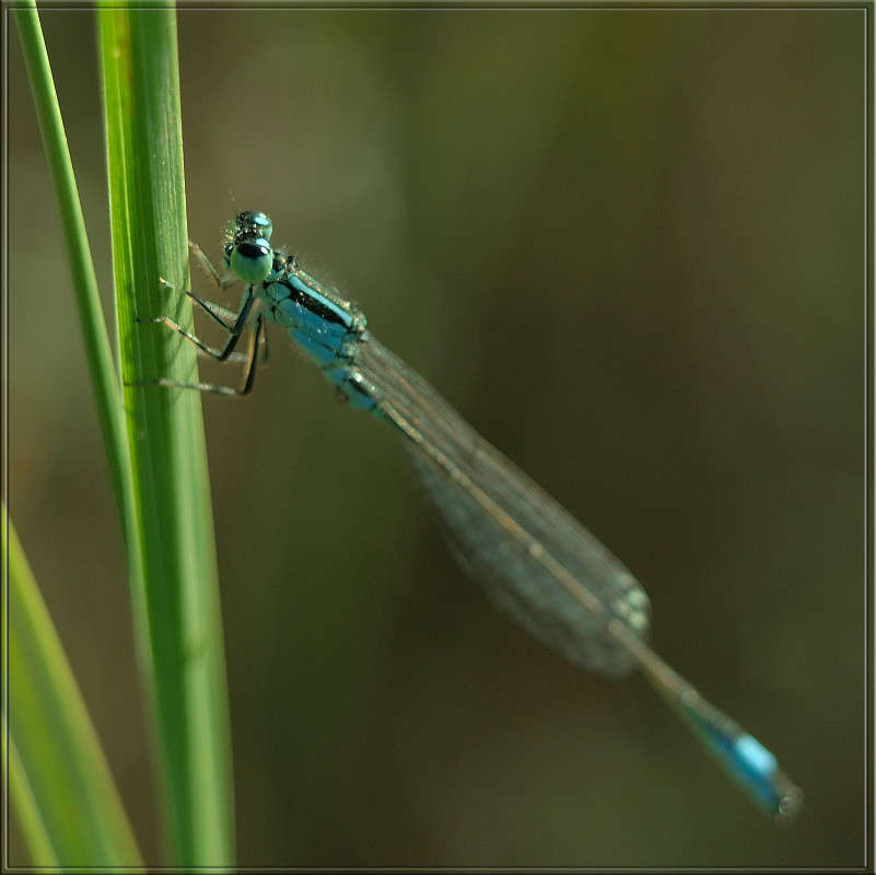 ����������� �� ���������� ����� ������  �� PhotoGeek.ru #�������� ���