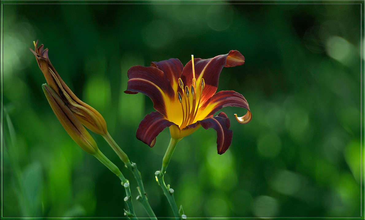 ��� ������� ����� ������  �� PhotoGeek.ru #������ ��� �������
