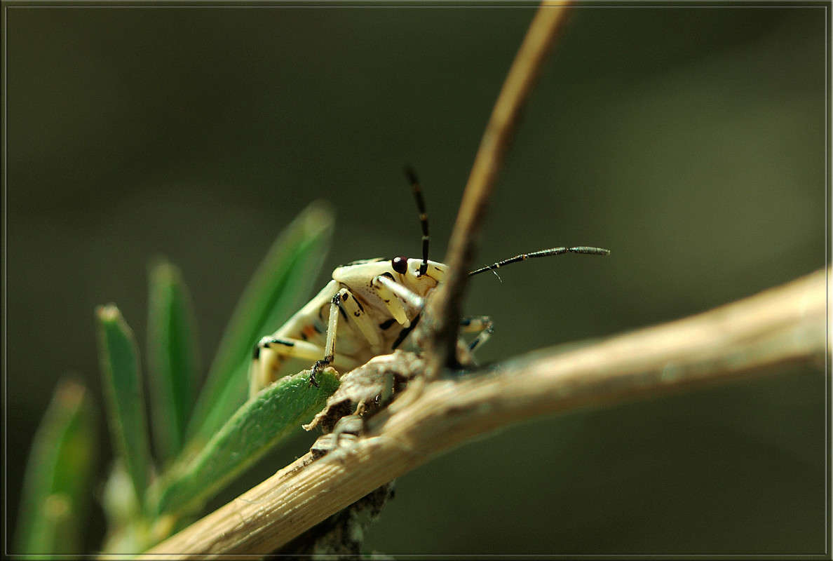 ����� ���� ����� ������  �� PhotoGeek.ru #�����