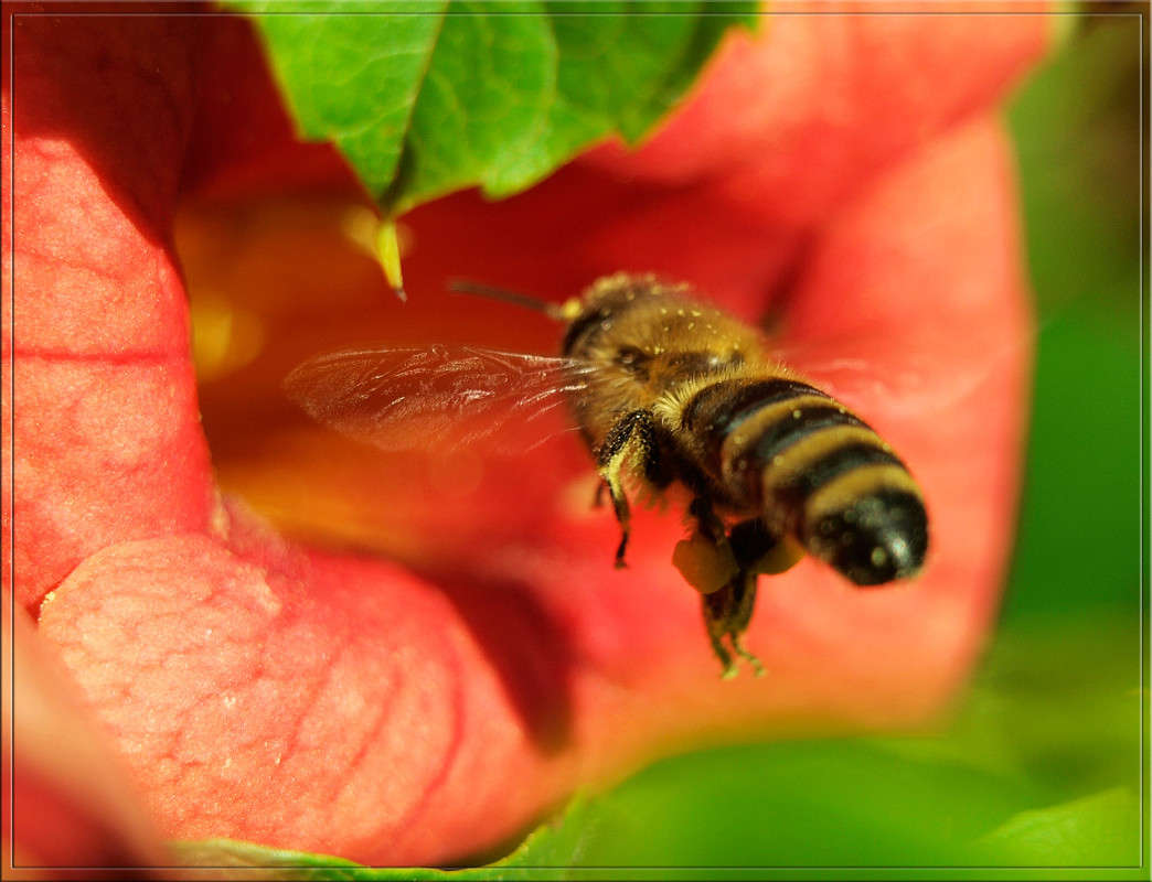 �� ��������� �������.jpg ����� ������  �� PhotoGeek.ru #�����