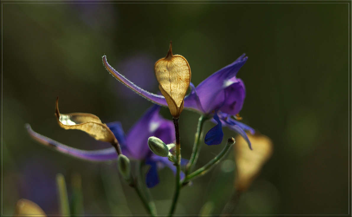 �������� ����� ������  �� PhotoGeek.ru #������ ��� �������