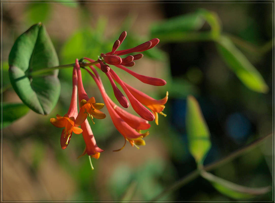 ����� ����� ����� ������  �� PhotoGeek.ru #������ ��� �������