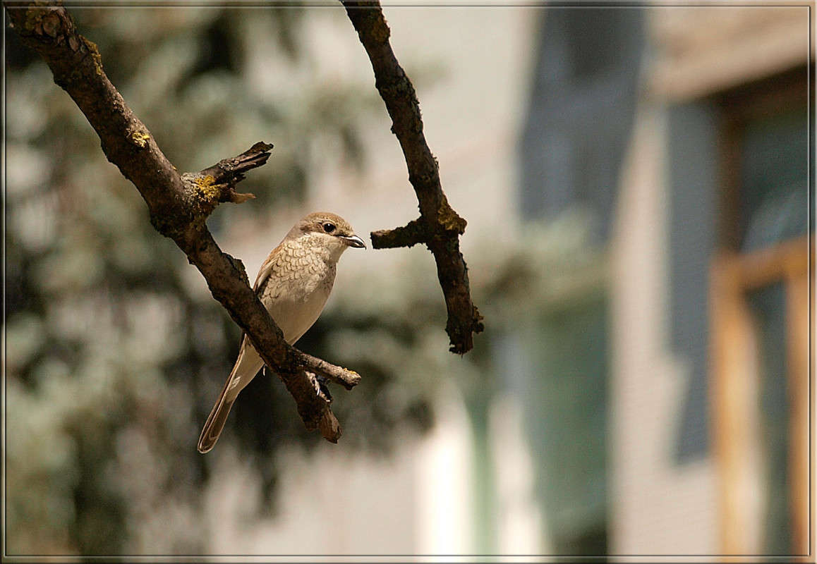 ����� ������ ����� ������  �� PhotoGeek.ru #�������� ���