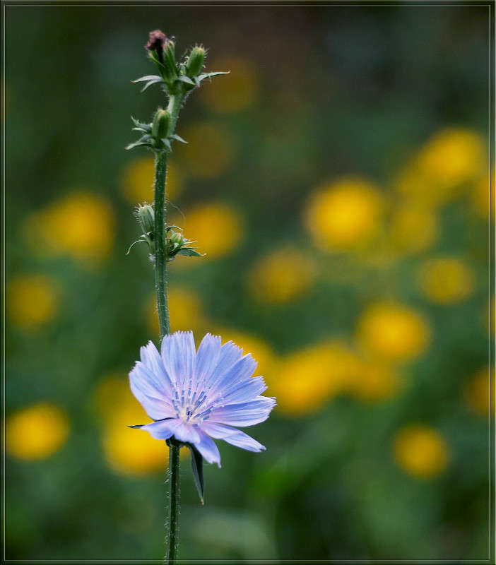 �������� � ������� ����� ������  �� PhotoGeek.ru #������ ��� �������