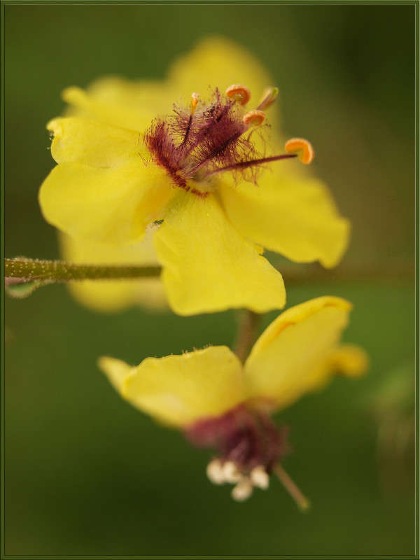 ������������.jpg ����� ������  �� PhotoGeek.ru #������ ��� �������