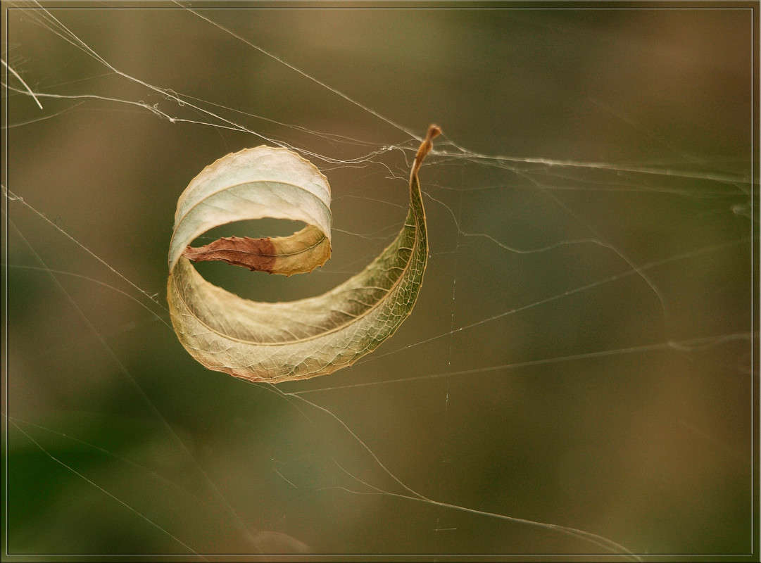 �� ������� �� ����� ����� ������  �� PhotoGeek.ru #������ ��� �������