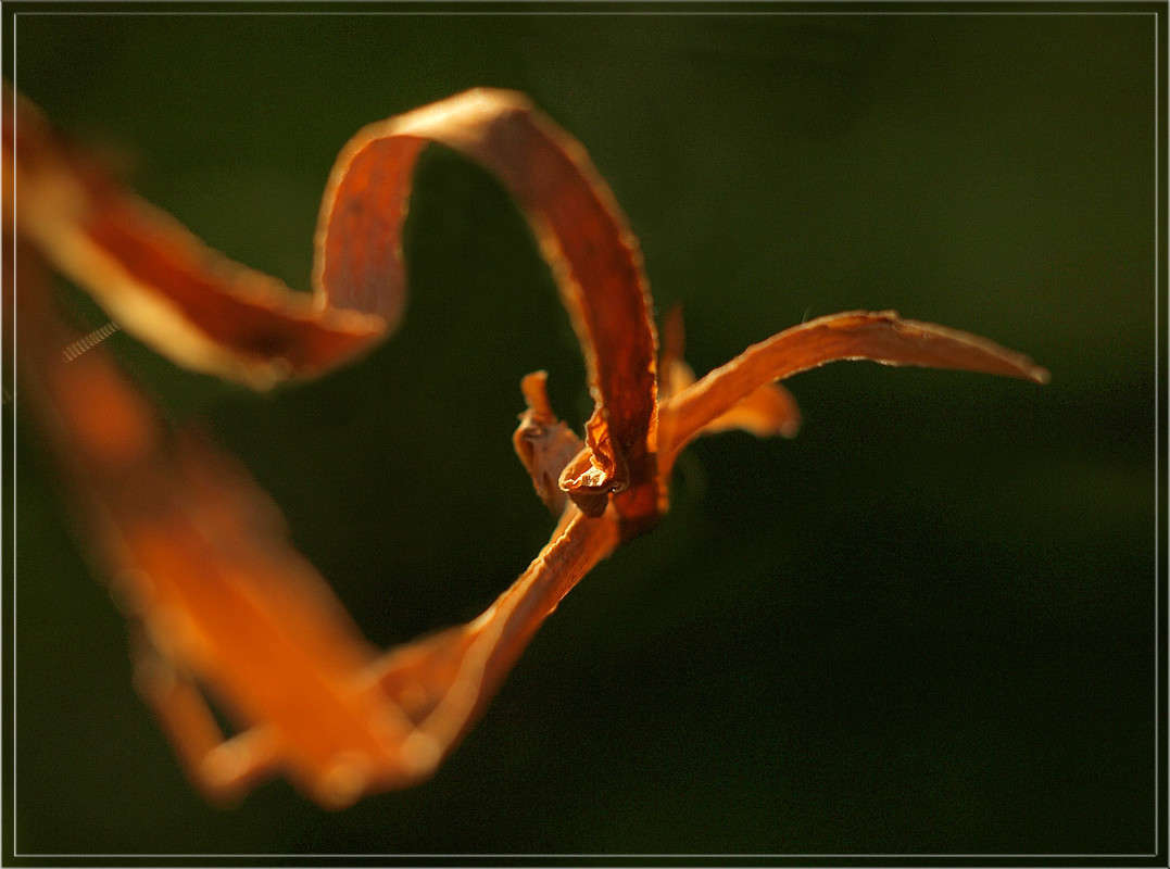 ������������� ����� ������  �� PhotoGeek.ru #������ ��� �������