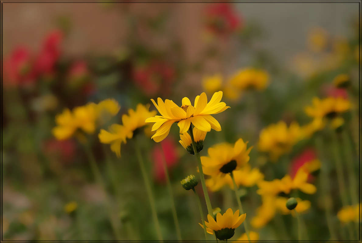 ������������ ����� ������  �� PhotoGeek.ru #������ ��� �������