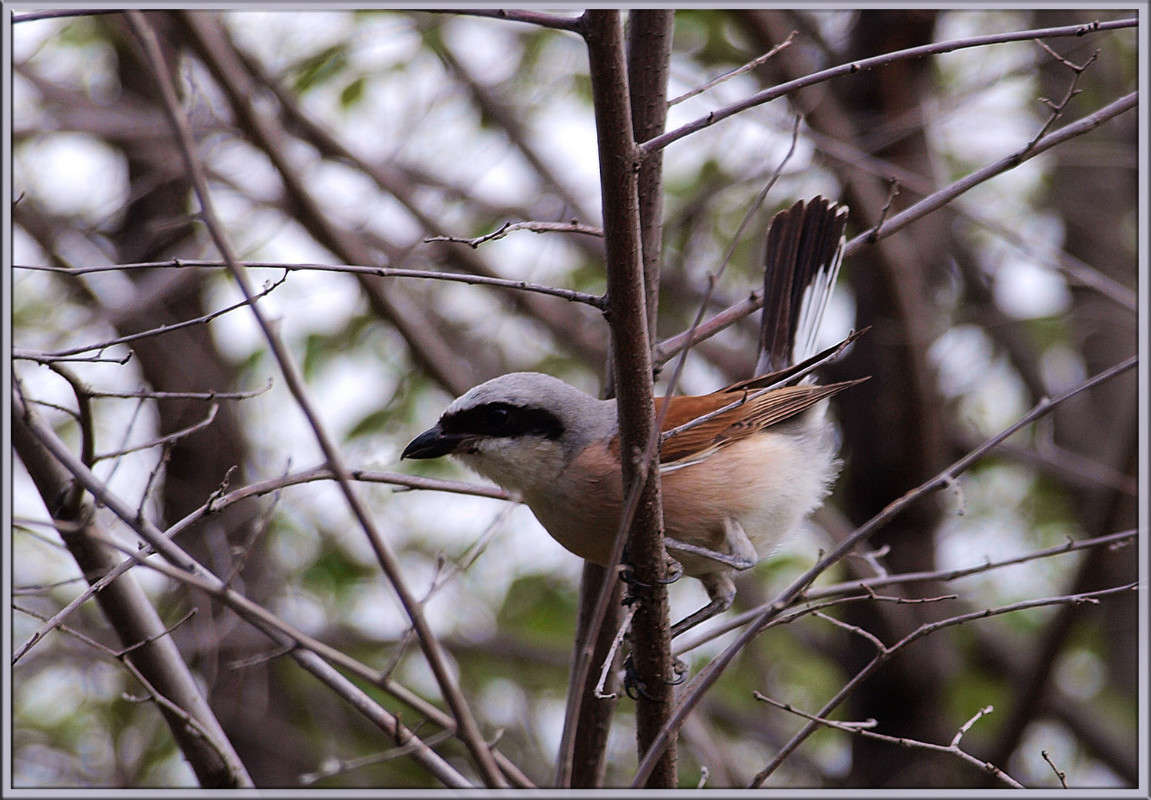 � ����� ����� ������  �� PhotoGeek.ru #�������� ���