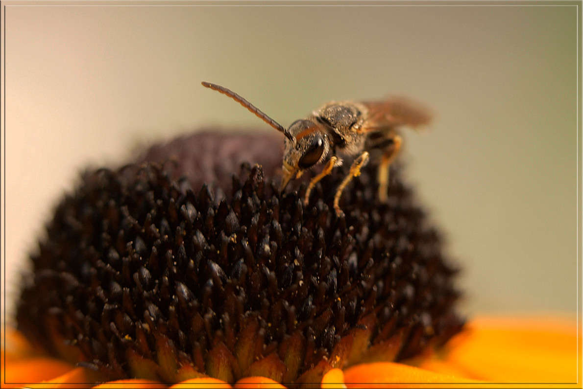 ������ ��������� ����� ������  �� PhotoGeek.ru #�����