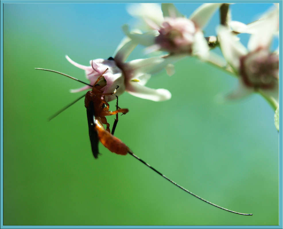 ����� ��� � ��������� ����� ������  �� PhotoGeek.ru #�����