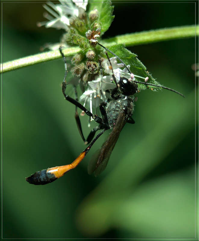 ������������� ����� ������  �� PhotoGeek.ru #�����