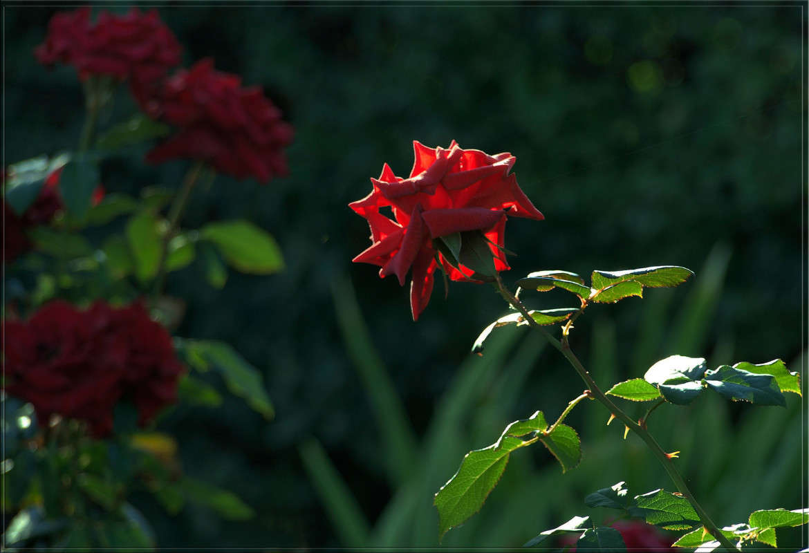 ���� ��� ������ ����� ������  �� PhotoGeek.ru #������ ��� �������