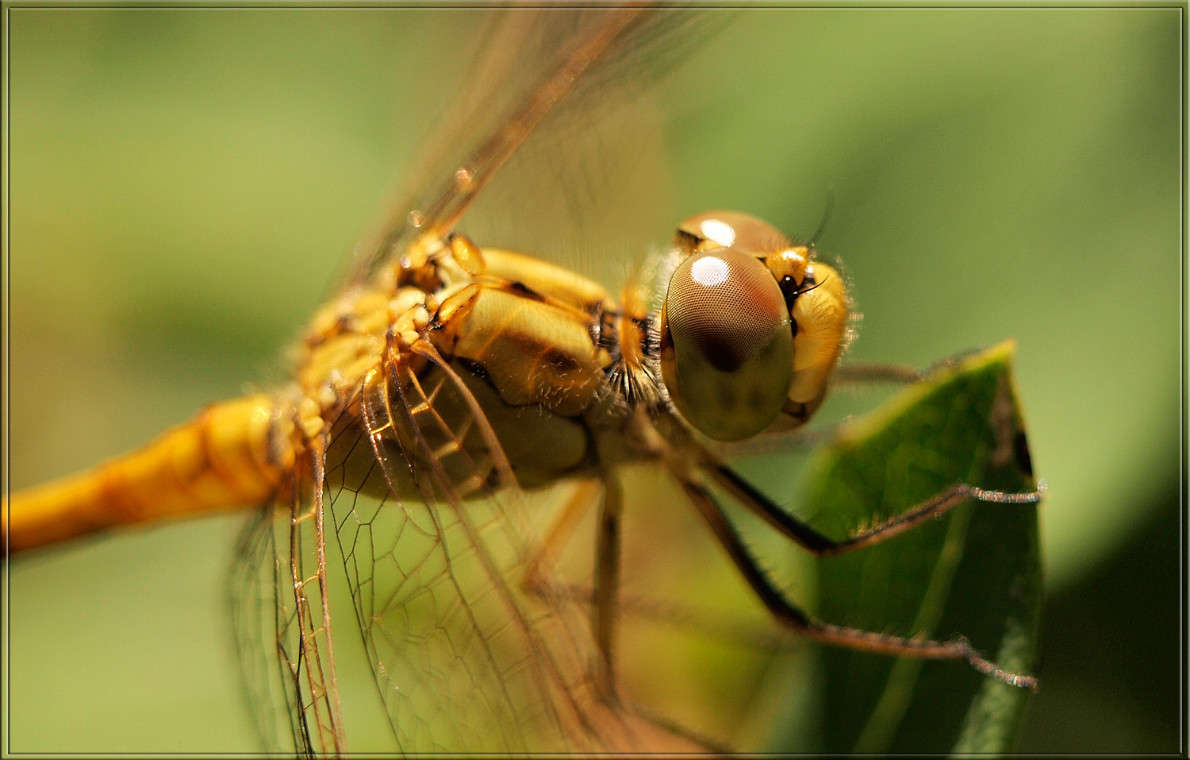 ��������� ����� ����� ������  �� PhotoGeek.ru #�����