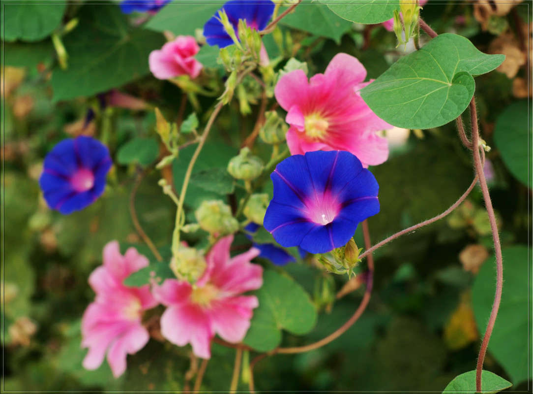 ������� �������� ����� ������  �� PhotoGeek.ru #������ ��� �������