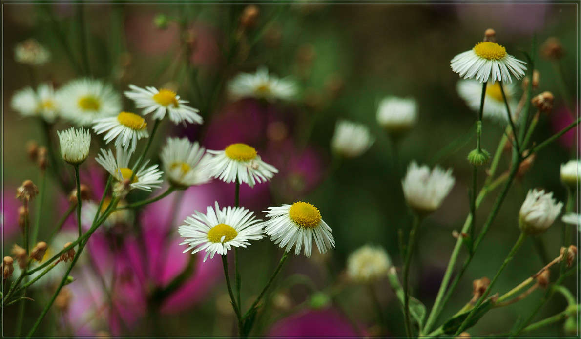 ������� � ��������� ����� ����� ������  �� PhotoGeek.ru #������ ��� �������