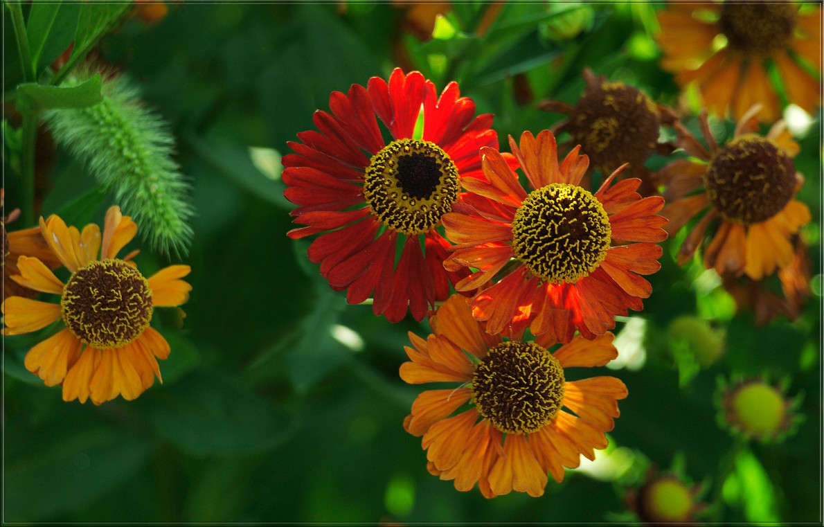 ������ ����� ������  �� PhotoGeek.ru #������ ��� �������