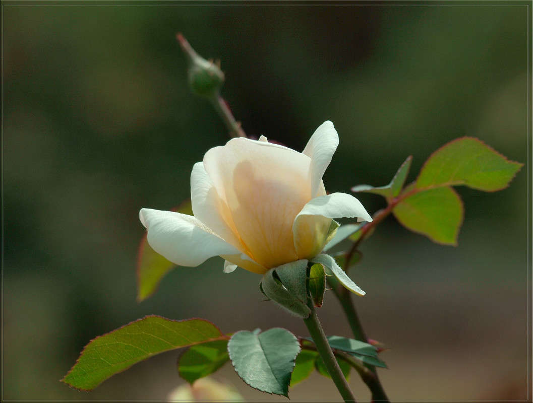 � �������� �����.jpg ����� ������  �� PhotoGeek.ru #������ ��� �������