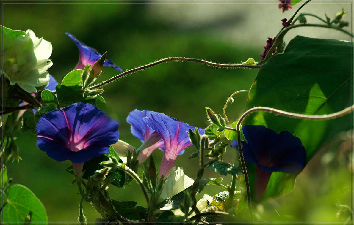 ��������� ������ ����� ������  �� PhotoGeek.ru #������ ��� �������