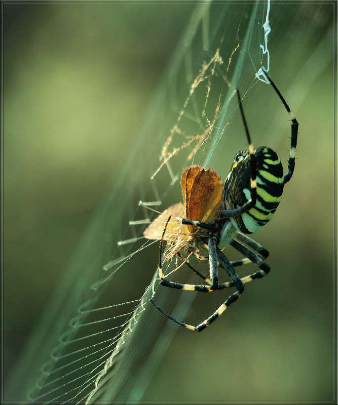 ��������� �� ������������ ����� ������  �� PhotoGeek.ru #�����