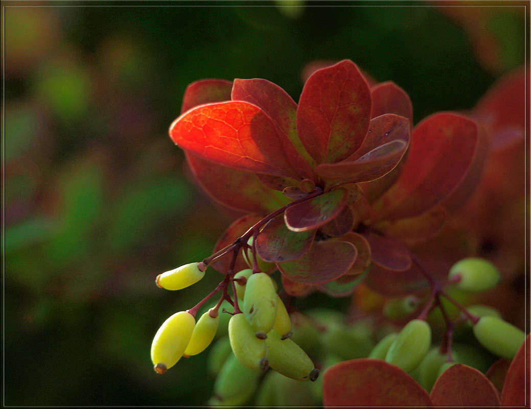 ����� ����������.jpg ����� ������  �� PhotoGeek.ru #������ ��� �������