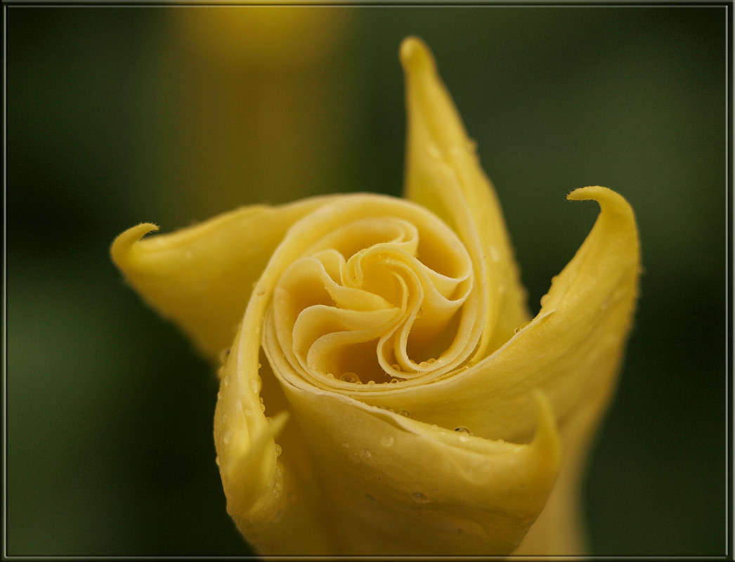 ������� ����� ������  �� PhotoGeek.ru #������ ��� �������