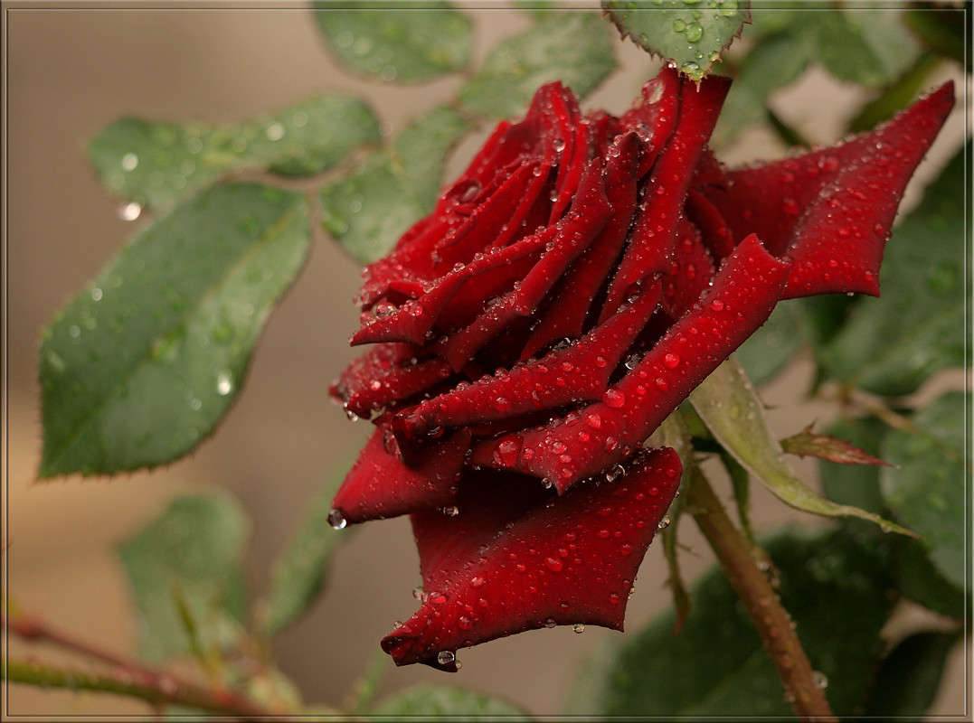 ������ �������� �������� ����� ������  �� PhotoGeek.ru #������ ��� �������