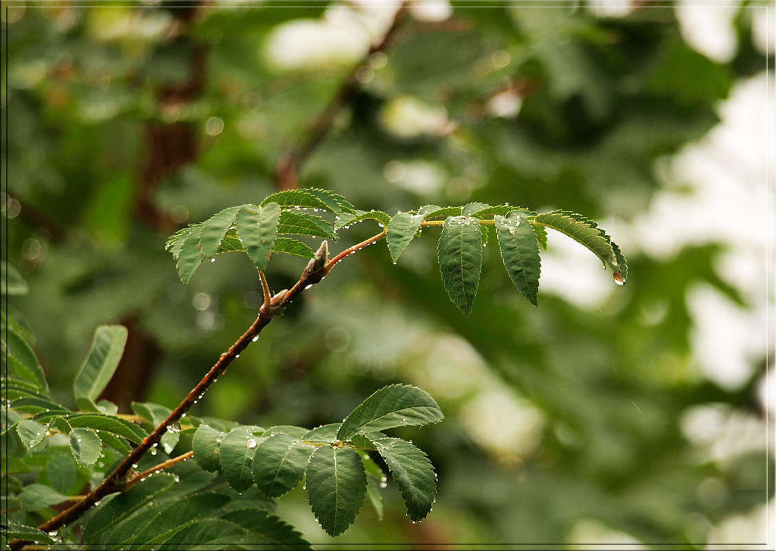 ������ � ������� ����� ������  �� PhotoGeek.ru #������ ��� �������