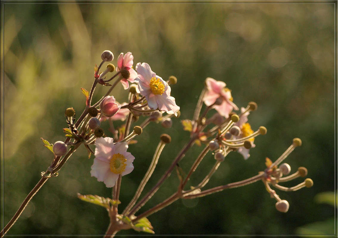 �������� �����.jpg ����� ������  �� PhotoGeek.ru #������ ��� �������