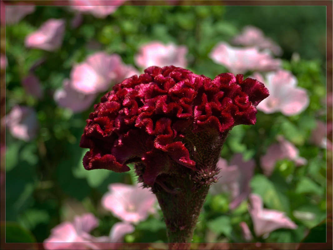 ������� ����� ������  �� PhotoGeek.ru #������ ��� �������