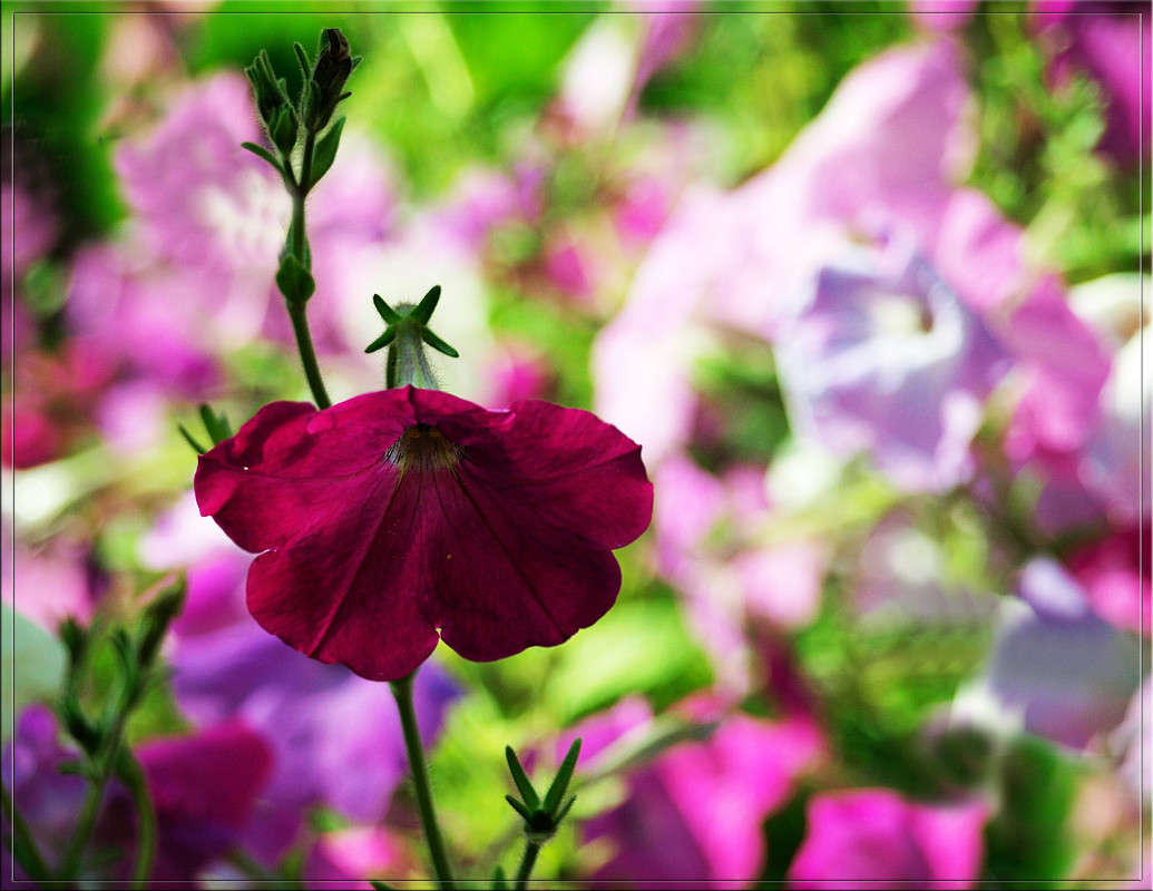 � ����.jpg ����� ������  �� PhotoGeek.ru #������ ��� �������