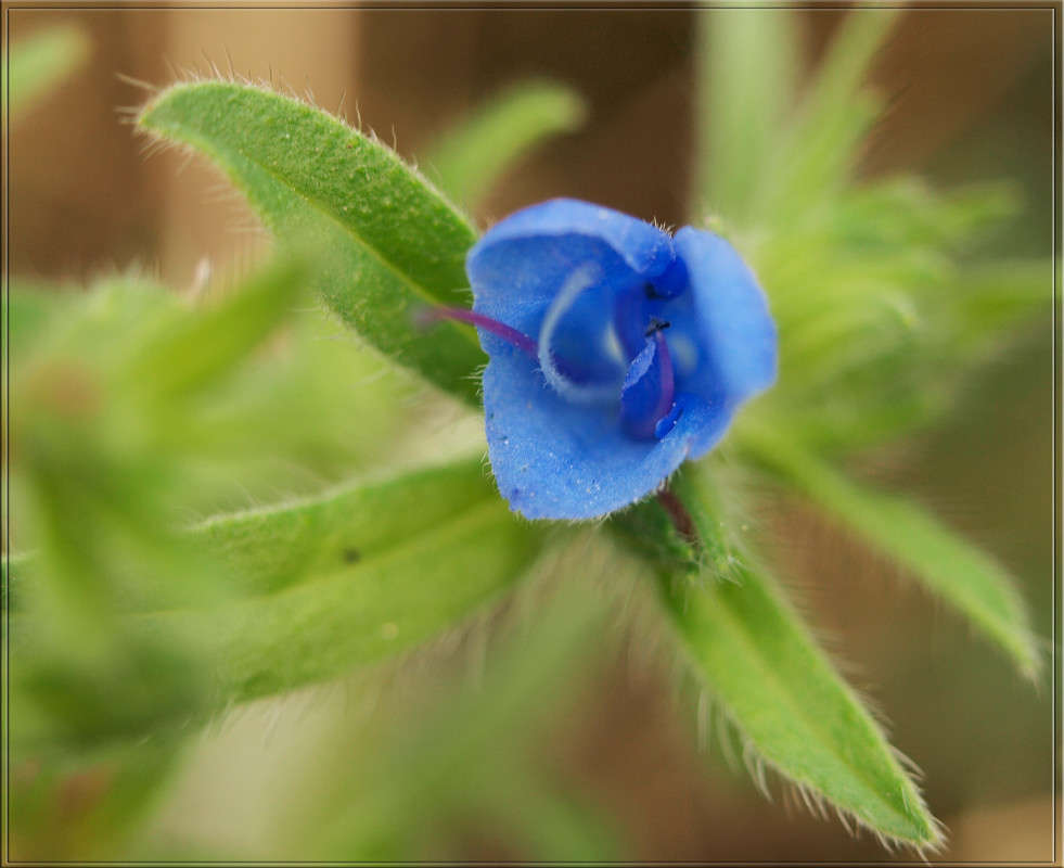 ����������� � ������������ ����� ������  �� PhotoGeek.ru #������ ��� �������