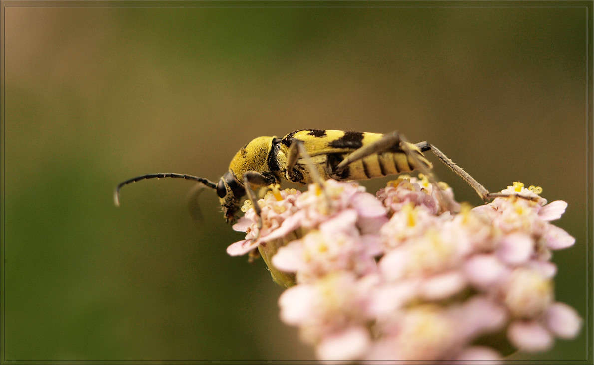 ������ � ������� ����� ������  �� PhotoGeek.ru #�����