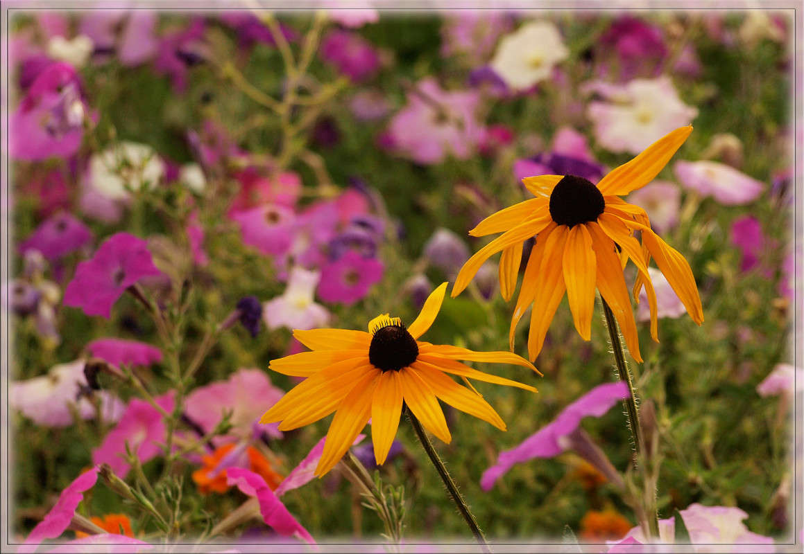 ��� �������� ����� ������  �� PhotoGeek.ru #������ ��� �������