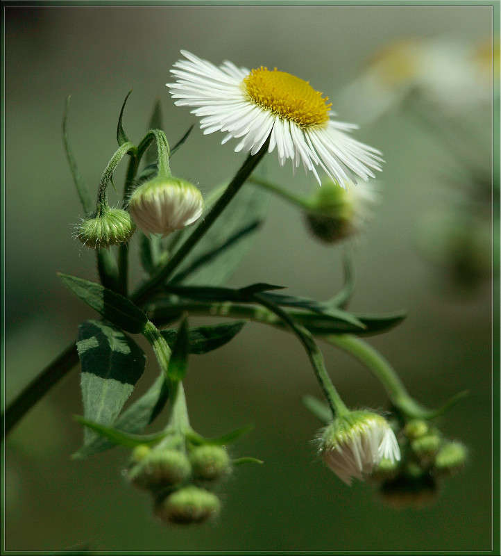 ��� �� ������������� ����� ������  �� PhotoGeek.ru #������ ��� �������